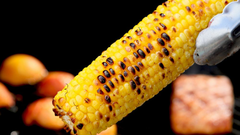 Кукуруза будет вкуснее, чем на пляже в Геленджике: приготовьте вот как Кукуруза будет вкуснее, чем на пляже в Геленджике: приготовьте вот как