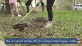 Мы всегда участвовали в субботниках, нас так научили