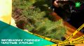 Зеленому городу чистые улицы. В Ленинском районе жители вышли на субботник