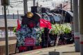 Более 7 тысяч человек встретили «Поезд Победы» в Челябинске