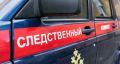 Челябинский Следком начал проверку по фактамнаездов самокатчиков на 4-летнихмалышей