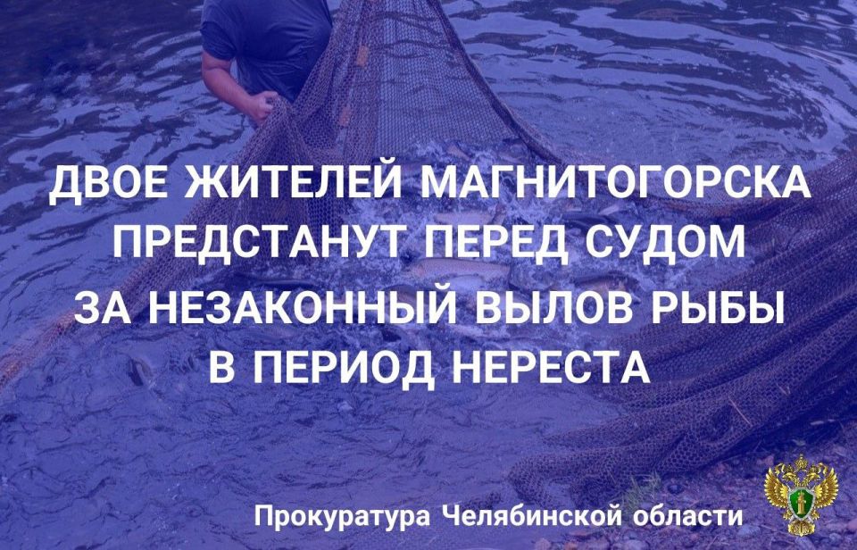             ,   . 3 .256   (  ()     ...