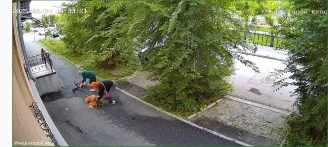       ,   