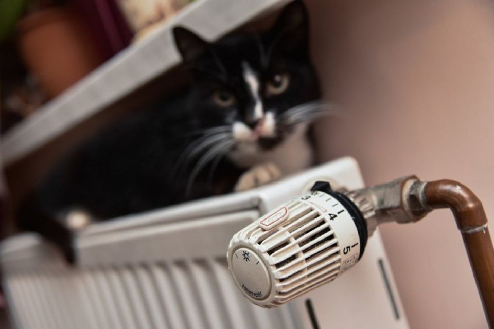 Звоните в управляющую компанию