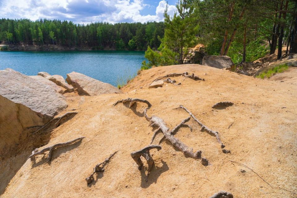 Осужденные за незаконную добычу золота уральцы искали самородки металлоискателем