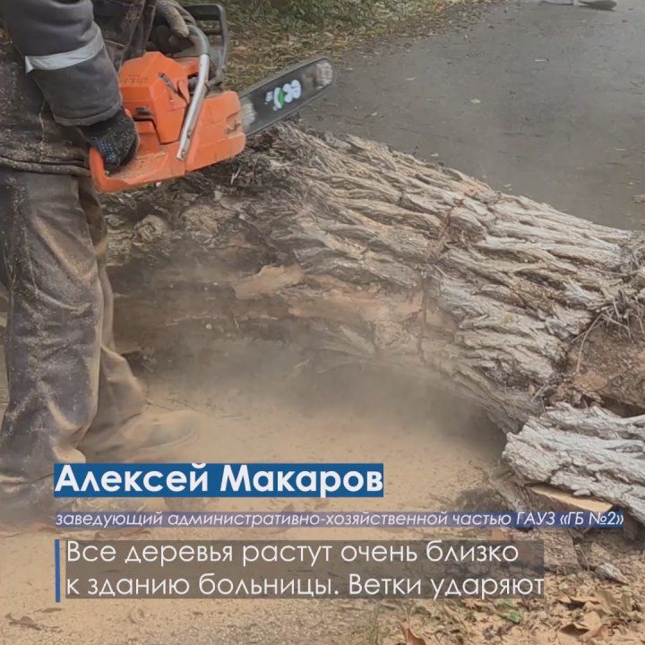 Единственная правильная мера