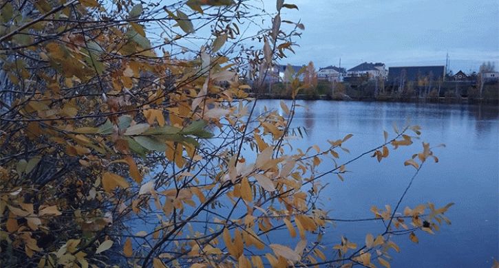 Антициклональный тип погоды установится на Южном Урале 25-27 октября