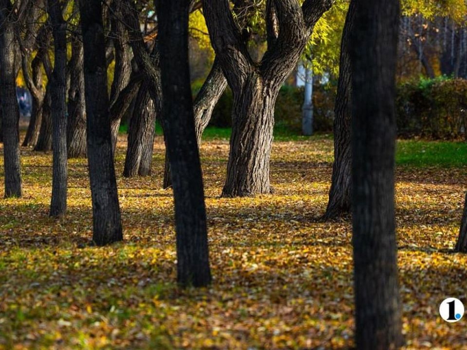 В Челябинской области температура будет выше климатической 26 октября