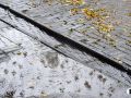 В Челябинской области пройдут дожди и похолодает 28 октября
