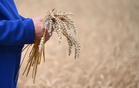 Семь южноуральских компаний получили награды на сельскохозяйственной выставке УрФО