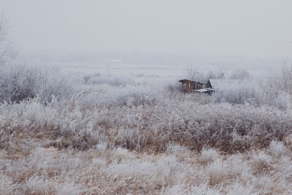 Резкое похолодание придет в Челябинскую область 4 ноября