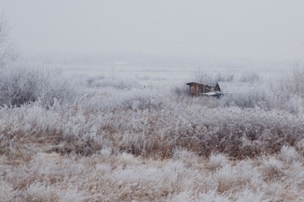 Резкое похолодание придет в Челябинскую область 4 ноября