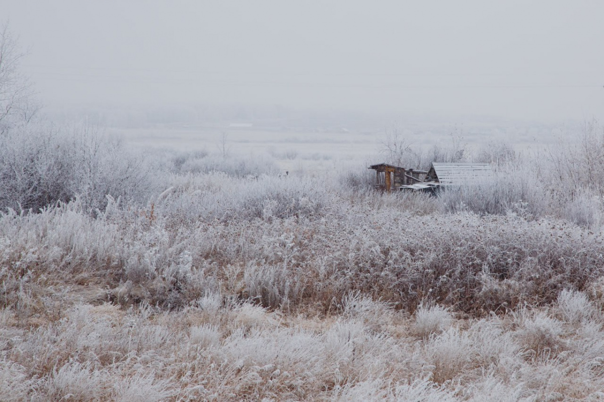 Резкое похолодание придет в Челябинскую область 4 ноября
