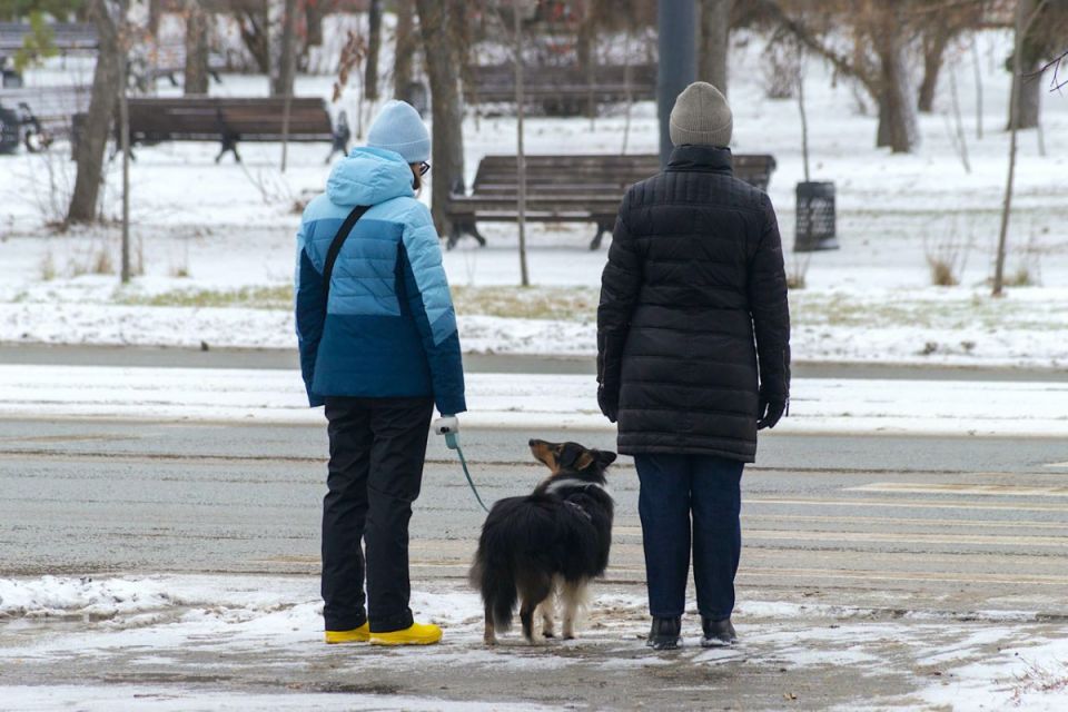 На Челябинскую область 1 ноября обрушится мокрый снег
