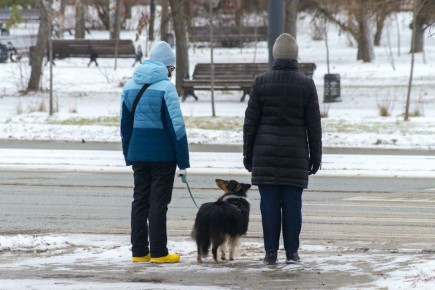 На Челябинскую область 1 ноября обрушится мокрый снег