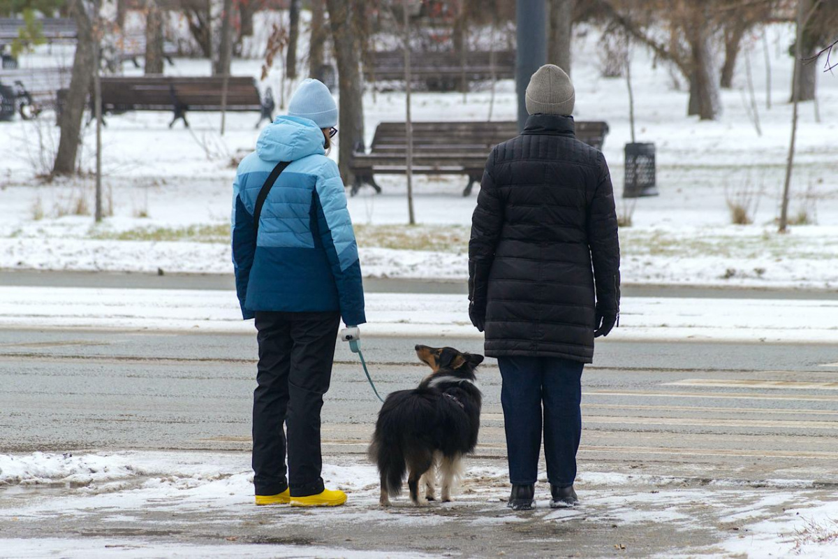 На Челябинскую область 1 ноября обрушится мокрый снег
