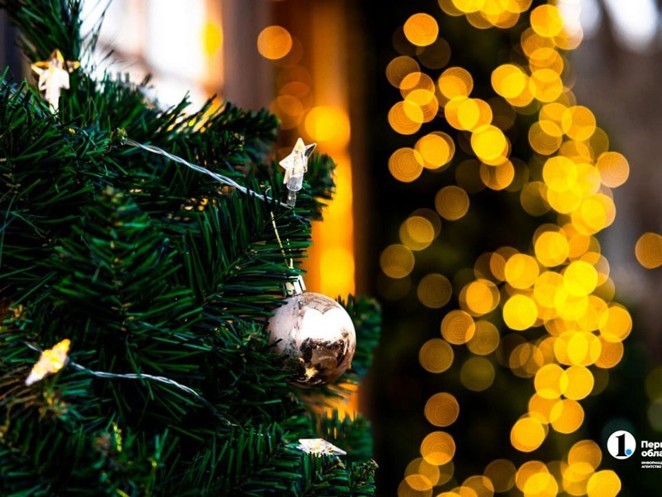 Жители Челябинской области рассказали, где собираются встретить Новый год