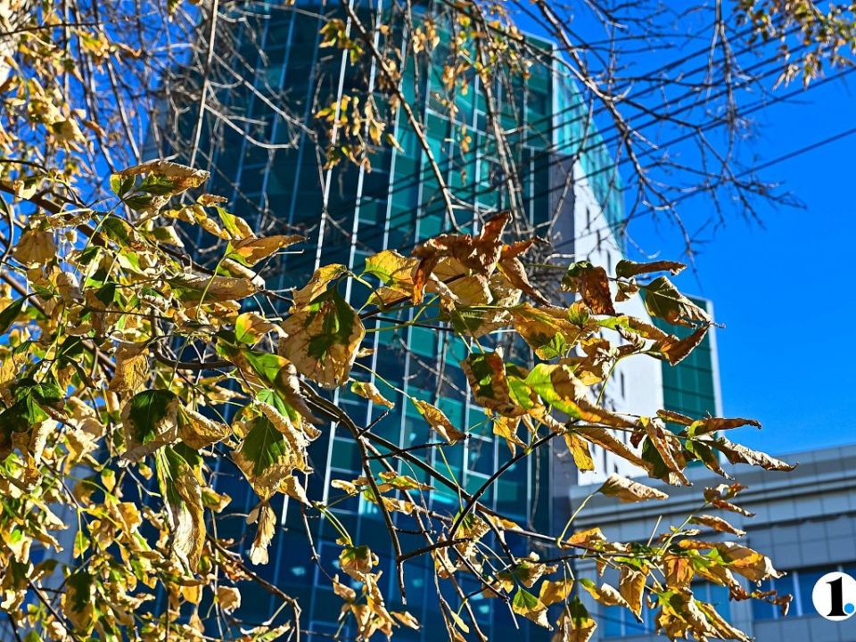 В Челябинской области температура будет ниже средней на 5 градусов 3 ноября