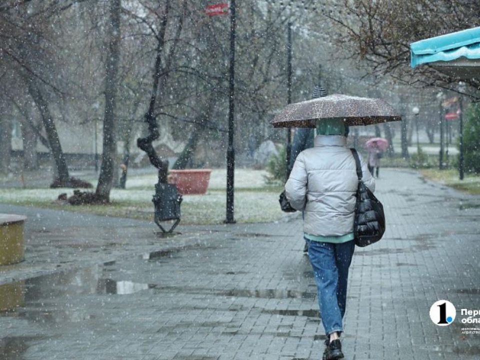 Снегопады и метели обрушатся на Челябинскую область 5 ноября