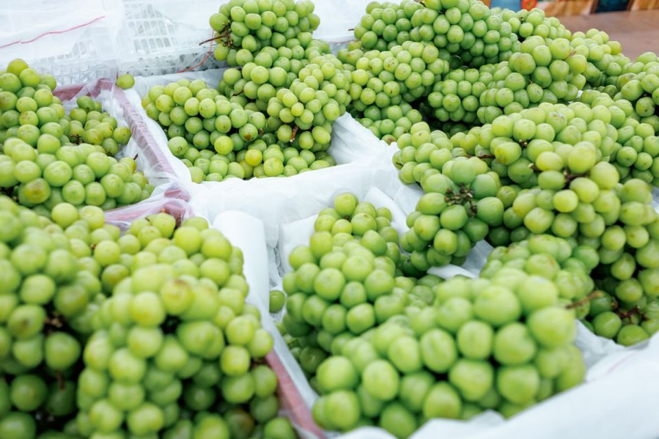 В Челябинскую область не пустили более 19 тонн винограда из Китая