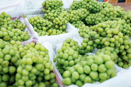 В Челябинскую область не пустили более 19 тонн винограда из Китая