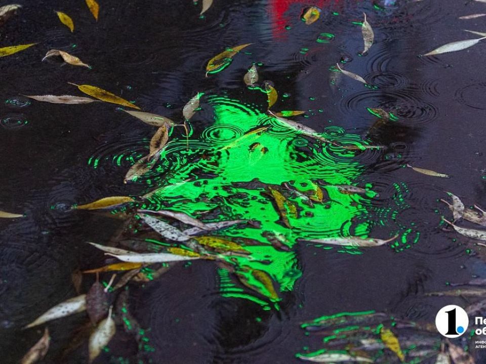 Дождливым и ветреным выдастся день 11 ноября в Челябинской области