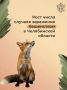 В первой половине 2025 года ветеринарные службы Челябинской области зафиксировали свыше 20 случаев бешенства среди диких и домашних животных