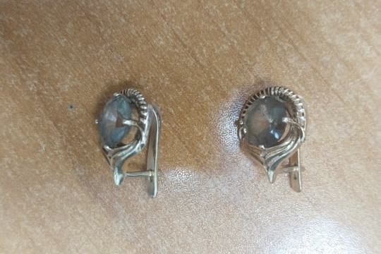 В Магнитогорске полицейские нашли и вернули хозяйке украденные серьги