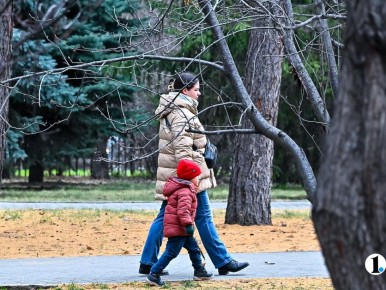 Аномально тепло будет в Челябинской области 19 ноября
