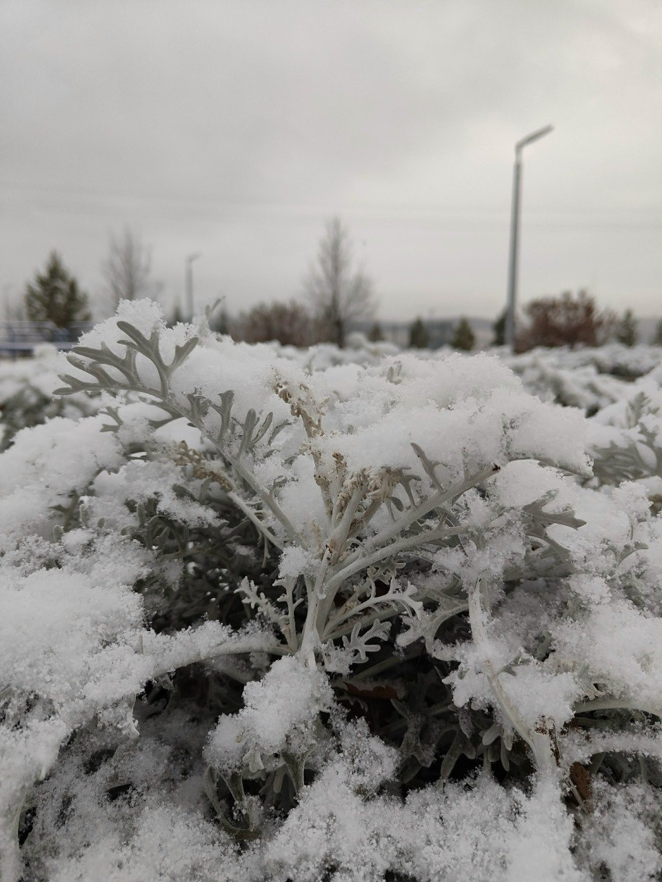 Снег в Челябинской области сегодня ночью ложился избирательно