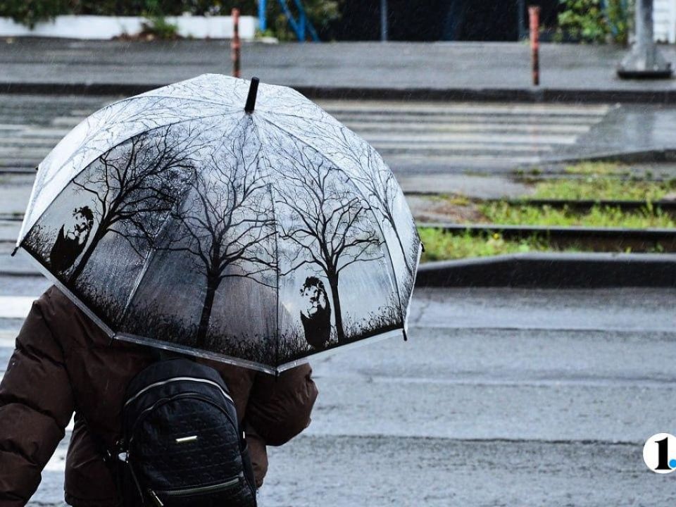 Теплую и ненастную погоду обещают в Челябинской области 22 ноября