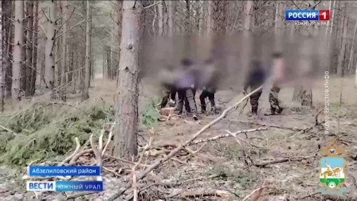 Под Магнитогорском задержали мужчину, подозреваемого в незаконной вырубке деревьев