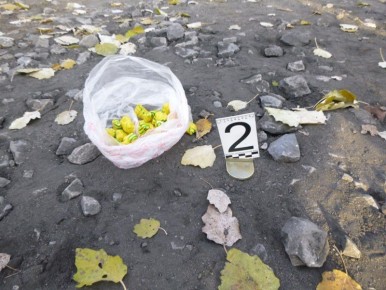 90 свертков с сильнодействующим наркотиком изъяли у женщины в Троицке