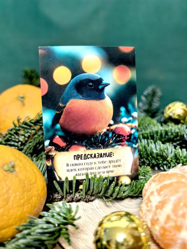 �� ������ ���� �������� 27 ����