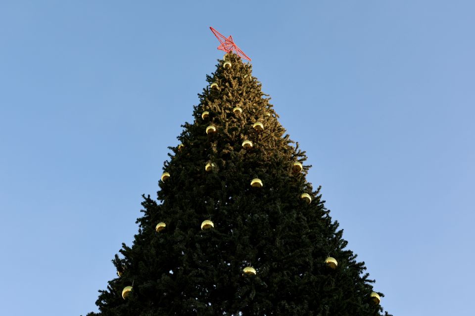 ���������� ������