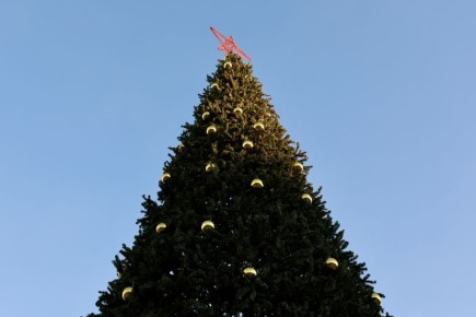 Новогодняя сказка