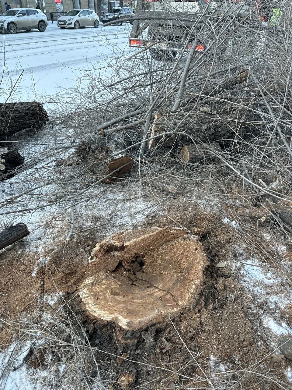 Нет другого выбора Нет другого выбора