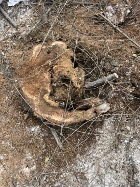 Нет другого выбора