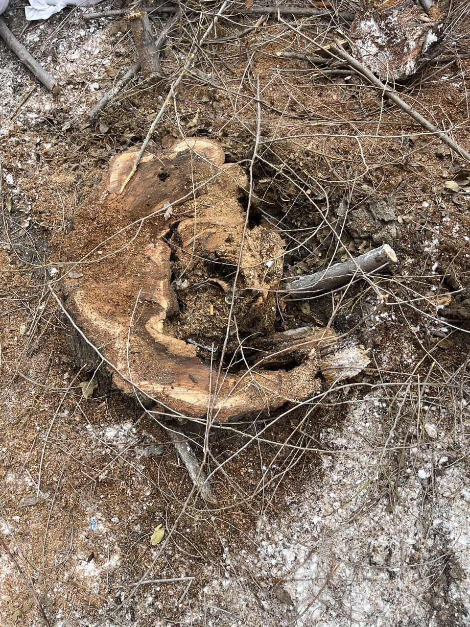 Нет другого выбора