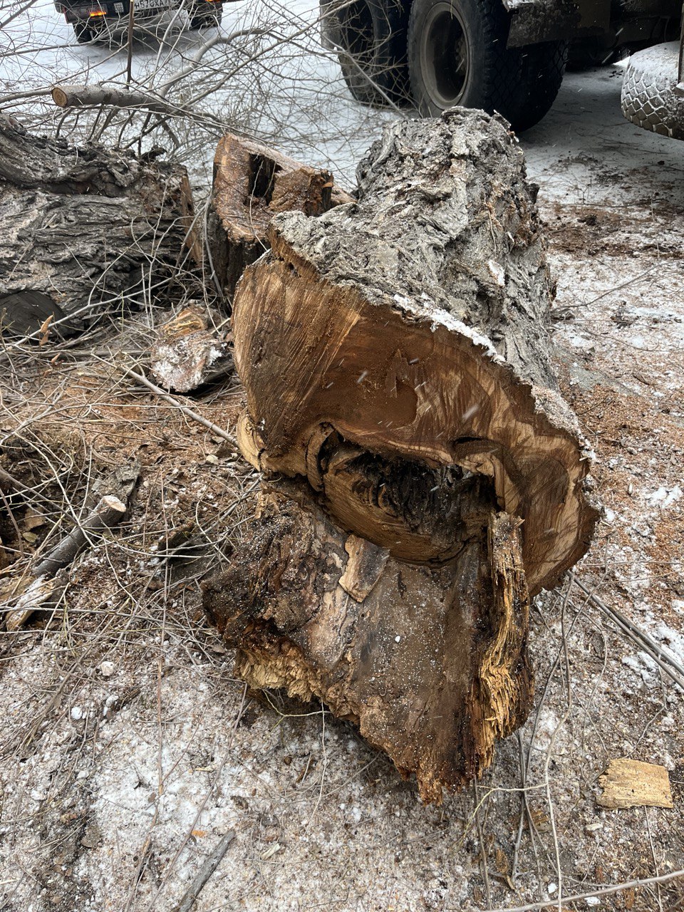 Нет другого выбора Нет другого выбора