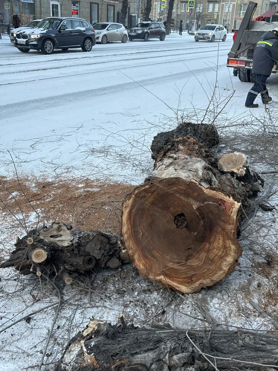 Нет другого выбора Нет другого выбора