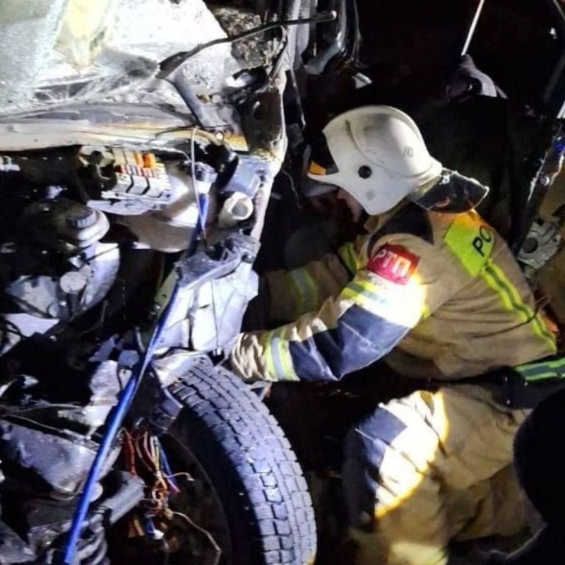 �� ������ �����������-������������ ����������� ��� ���������