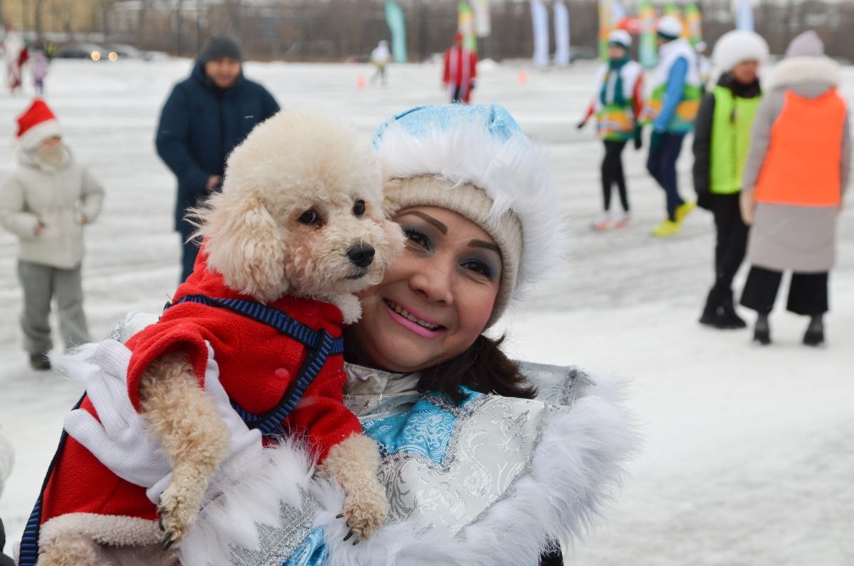 Председатель городского Собрания Александр Морозов дал старт новогоднему благотворительному забегу, организованному фондом «Металлург» Председатель городского Собрания Александр Морозов дал старт новогоднему благотворительному забегу, организованному фондом «Металлург»