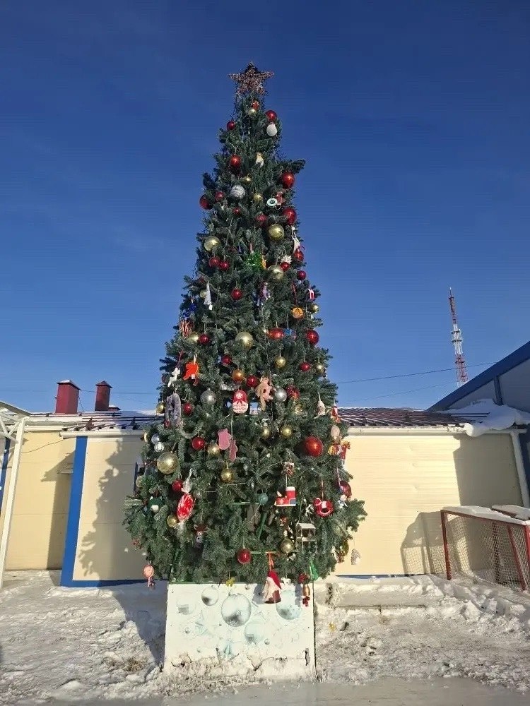 В Экологическом парке стало ярче благодаря детским поделкам В Экологическом парке стало ярче благодаря детским поделкам