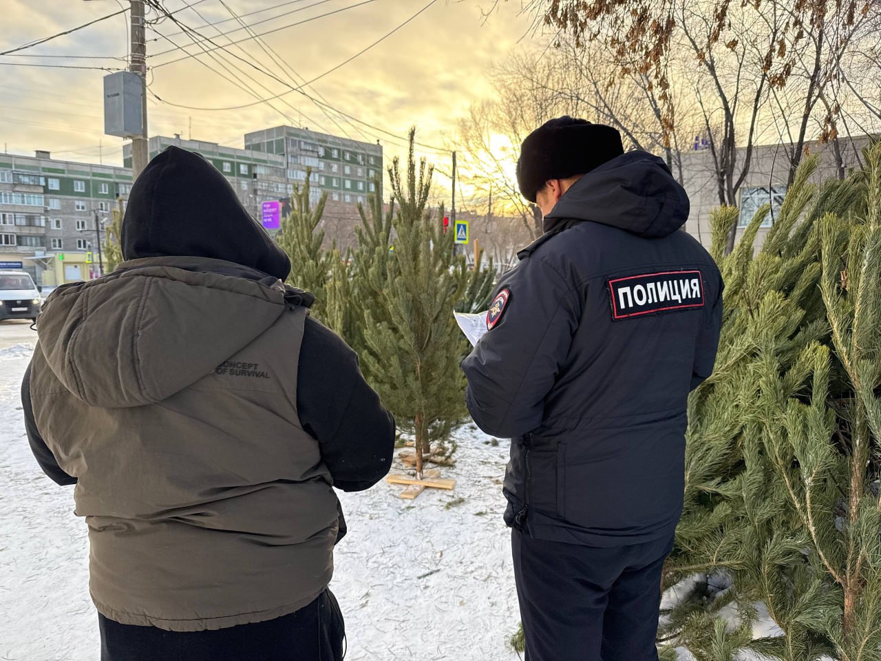 Магнитогорские полицейские в ходе рейдов изъяли более двух тысяч единиц незаконной пиротехники Магнитогорские полицейские в ходе рейдов изъяли более двух тысяч единиц незаконной пиротехники