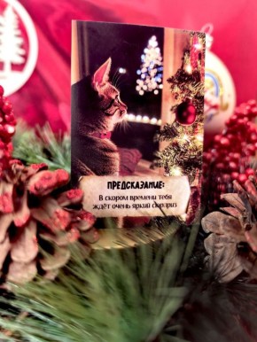 До нового года осталось 13 дней