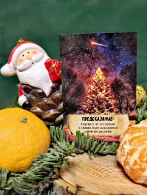 �� ������ ���� �������� 12 ����