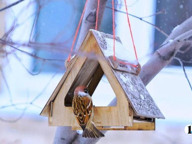  ����������� ������� ����� ��������� �� &minus;7 �������� 21��������