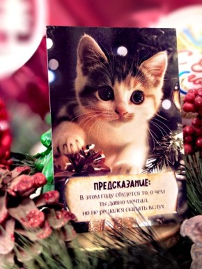 �� ������ ���� �������� 10 ����