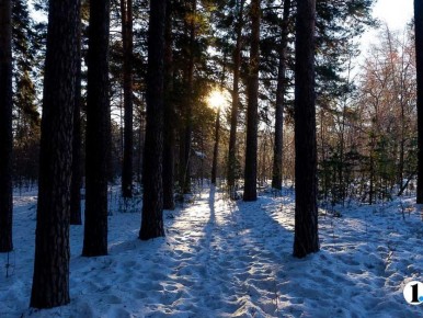 �� &minus;4 ��������� ������������ ������� 29��������